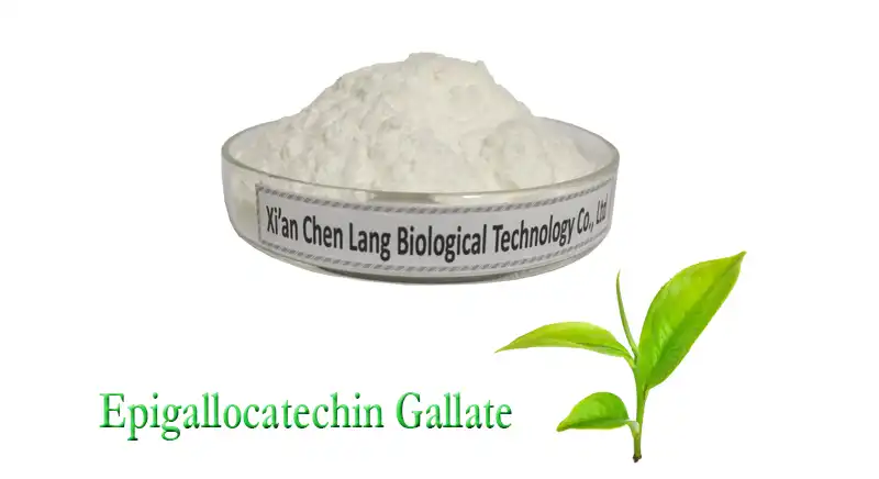Epicatechin Powder.jpg